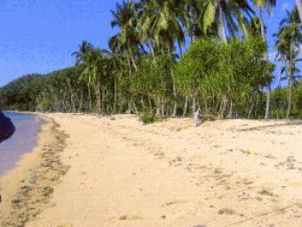 ISLAND - SITIO CAMBAYA,BUSUANGA Palawan
